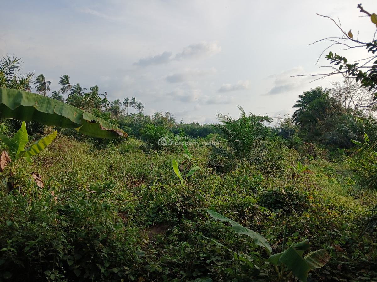 Acres of Land, Ekrokro After Mereje, Okpe, Delta, Mixed-use Land for Sale
