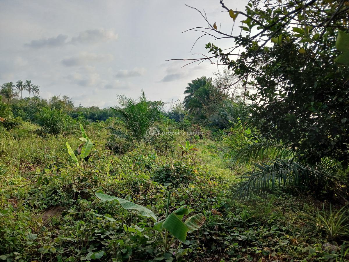 Acres of Land, Ekrokro After Mereje, Okpe, Delta, Mixed-use Land for Sale