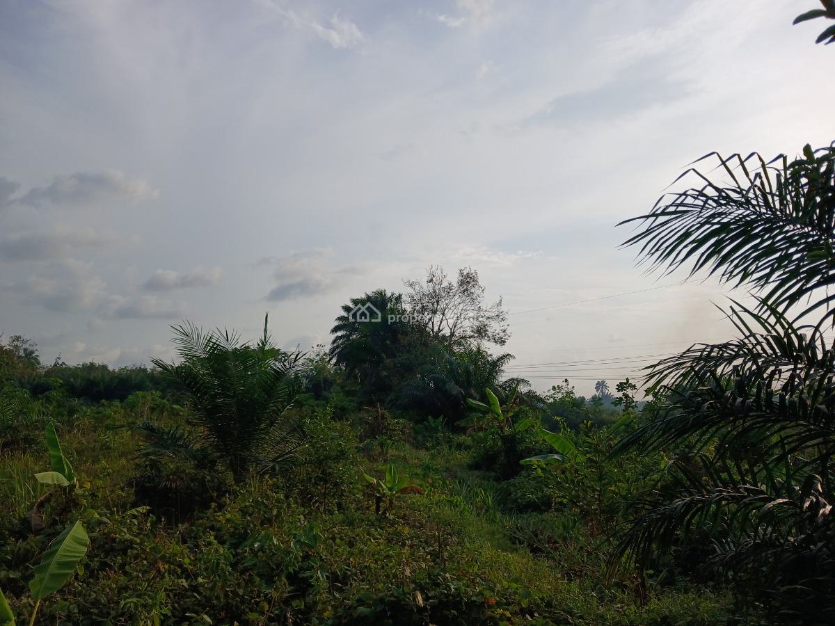 Acres of Land, Ekrokro After Mereje, Okpe, Delta, Mixed-use Land for Sale