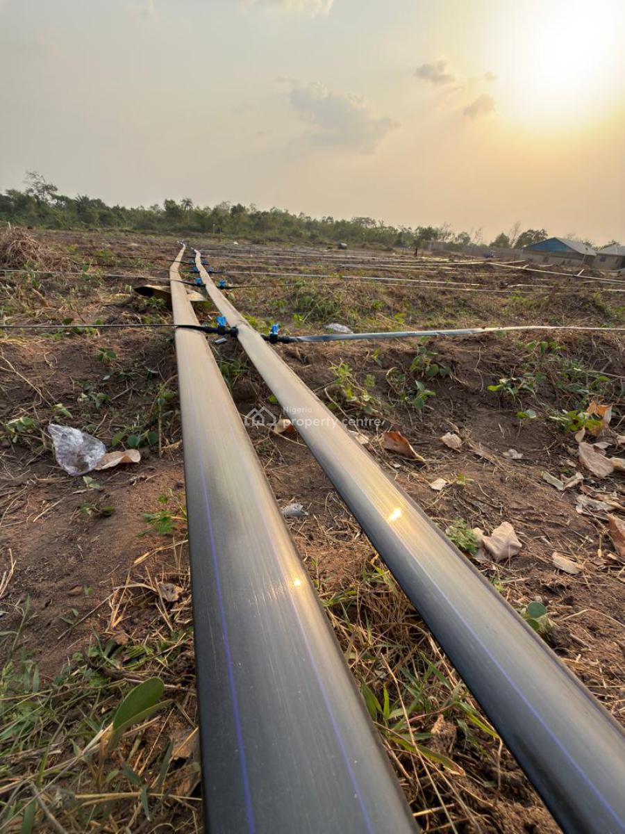 Own Acres of Farmland for Investment/cashflow at Paradiso Farm Estate, Ayireke Village, Via Alabata, Odeda, Ogun, Land for Sale