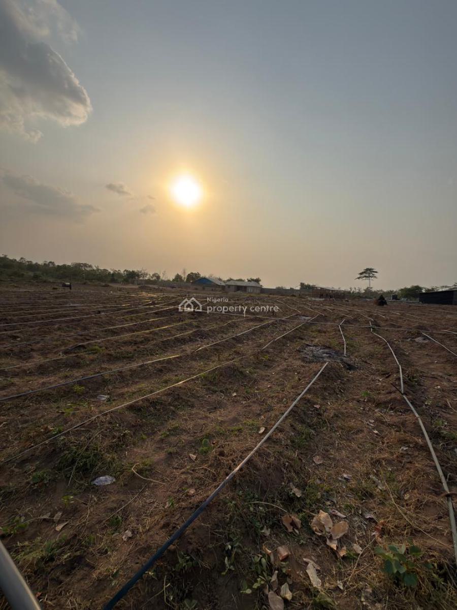 Own Acres of Farmland for Investment/cashflow at Paradiso Farm Estate, Ayireke Village, Via Alabata, Odeda, Ogun, Land for Sale