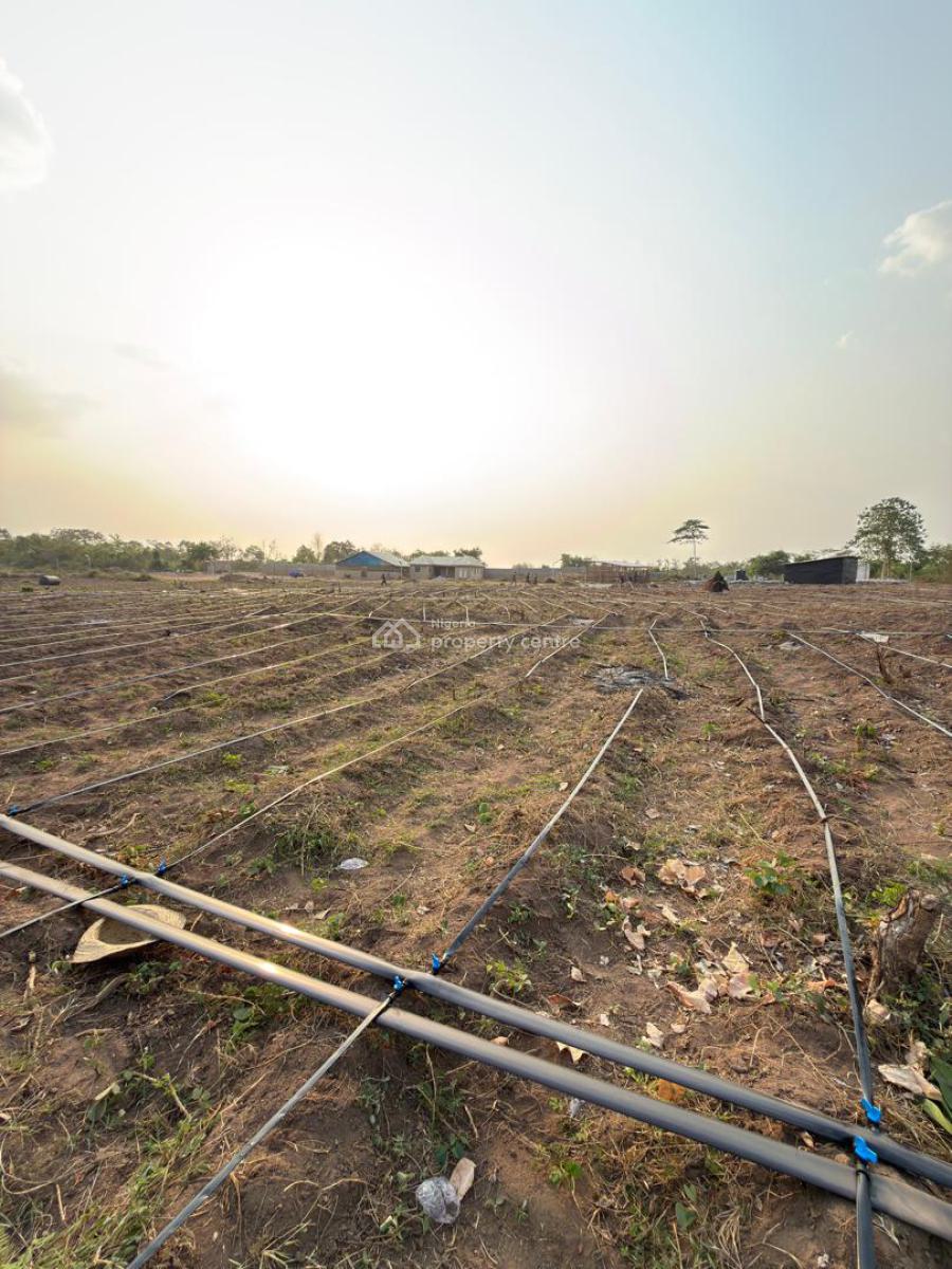 Own Acres of Farmland for Investment/cashflow at Paradiso Farm Estate, Ayireke Village, Via Alabata, Odeda, Ogun, Land for Sale