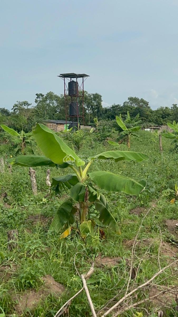 Farm Land Investment with Great Returns on Investment, Off Funnab and Alabata Market, Abeokuta South, Ogun, Mixed-use Land for Sale