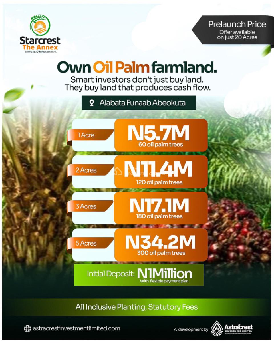 30 Acres of Managed Farmland with Triple Crop Advantage, a Well Designed Managed Farmland Built for Long Term Wealth, Abeokuta North, Ogun, Mixed-use Land for Sale