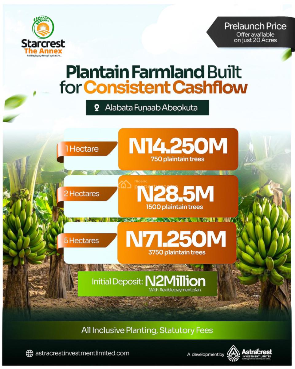 30 Acres of Managed Farmland with Triple Crop Advantage, a Well Designed Managed Farmland Built for Long Term Wealth, Abeokuta North, Ogun, Mixed-use Land for Sale