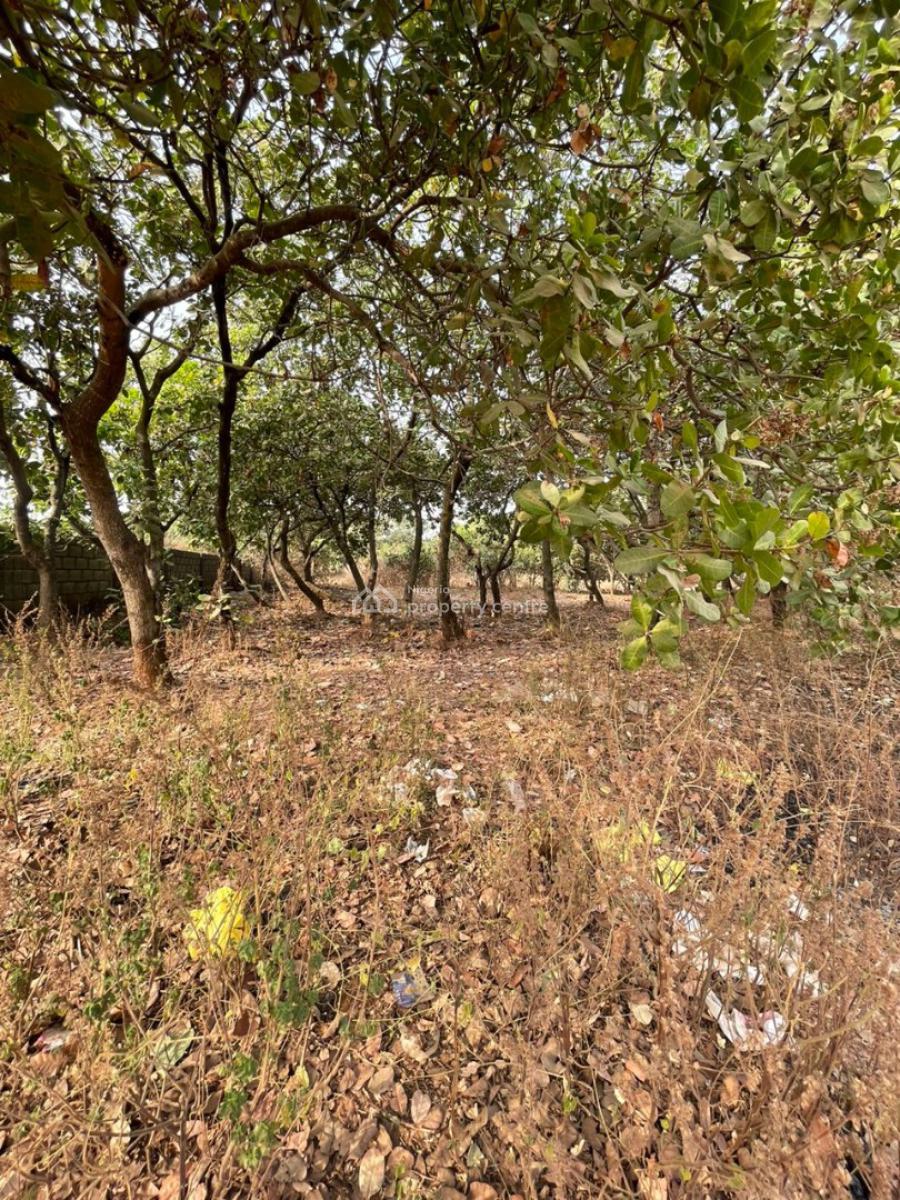 Land Size of 450sqm with C of O, Fo1, Kubwa, Abuja, Residential Land for Sale