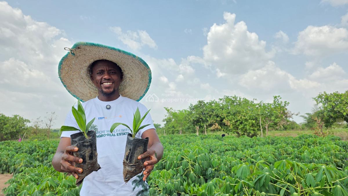 Prime Acres and Hectares of Farm Land Investment Opportunity, Abeokuta North, Ogun, Commercial Land for Sale