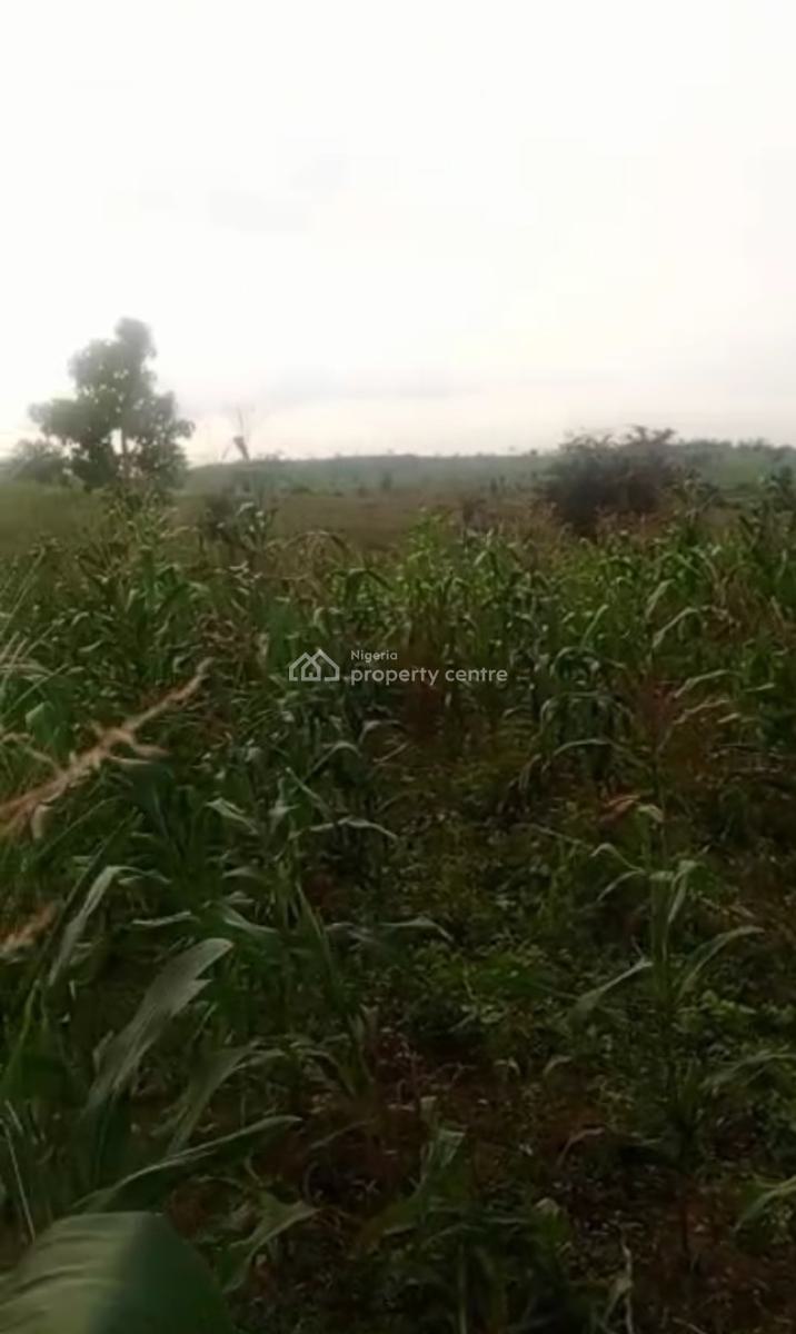 Roadside Mixed Use Land of 465.25 Hectares, Few Kilometres After Apo Mechanic Village., Gude, Apo, Abuja, Mixed-use Land for Sale