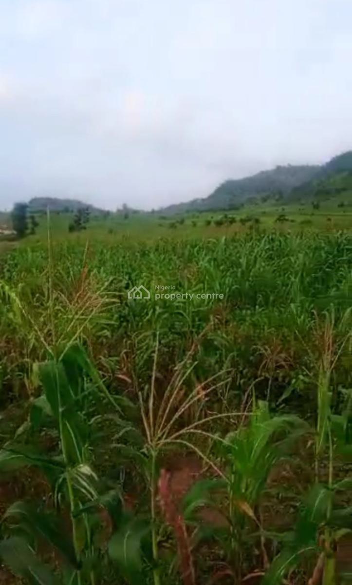 Roadside Mixed Use Land of 465.25 Hectares, Few Kilometres After Apo Mechanic Village., Gude, Apo, Abuja, Mixed-use Land for Sale