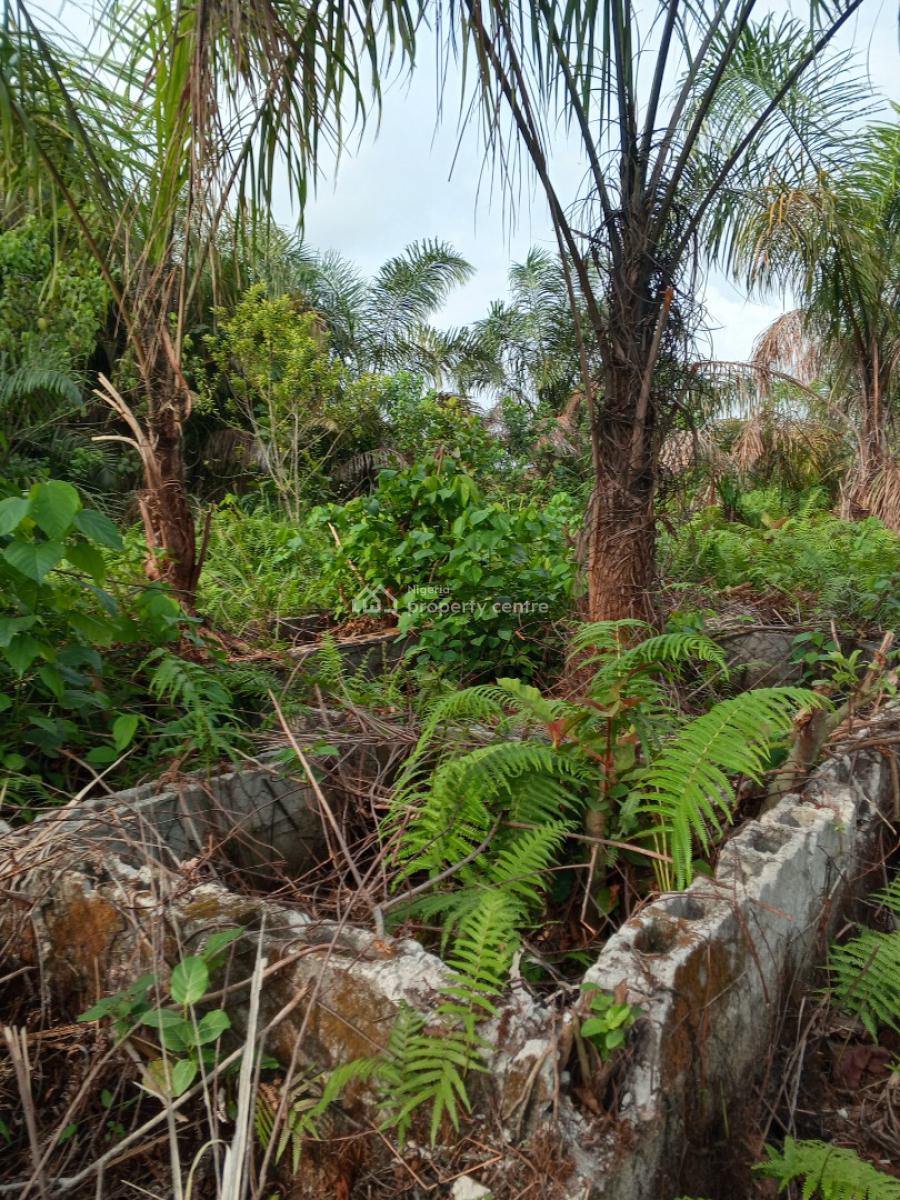 Affordable Half Plot of Dry Residential Land with Village Excision, New Road Omi Alagbo Village Excision, Awoyaya, Ibeju Lekki, Lagos, Residential Land for Sale