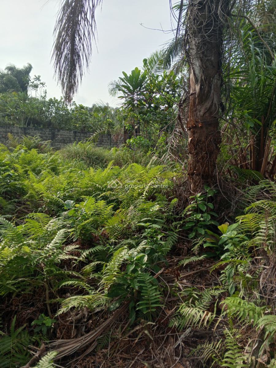 Affordable Half Plot of Dry Residential Land with Village Excision, New Road Omi Alagbo Village Excision, Awoyaya, Ibeju Lekki, Lagos, Residential Land for Sale