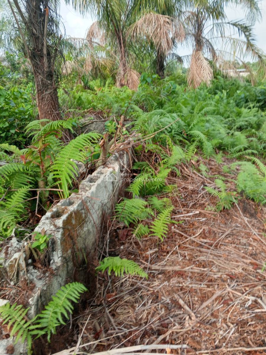 Affordable Half Plot of Dry Residential Land with Village Excision, New Road Omi Alagbo Village Excision, Awoyaya, Ibeju Lekki, Lagos, Residential Land for Sale