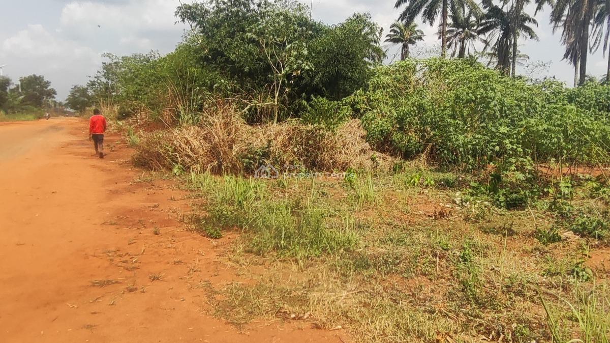143 Plots of Land Along The Road in a Developing Area, Ezi Town, Aniocha North, Delta, Land for Sale