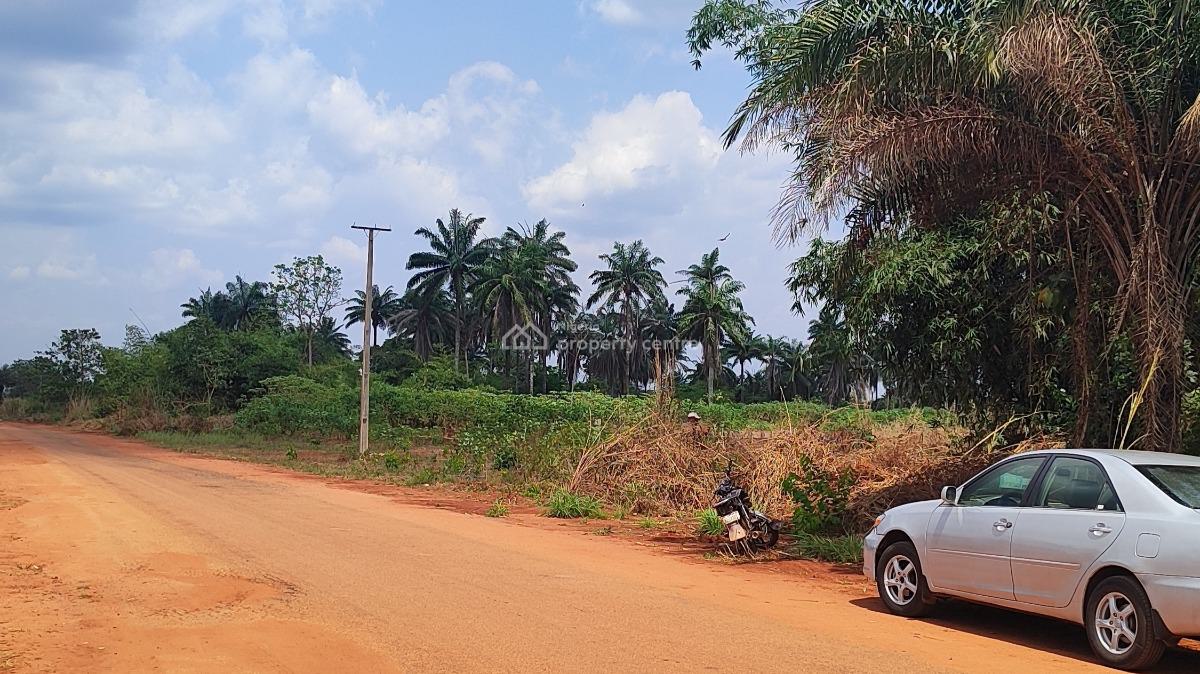 143 Plots of Land Along The Road in a Developing Area, Ezi Town, Aniocha North, Delta, Land for Sale