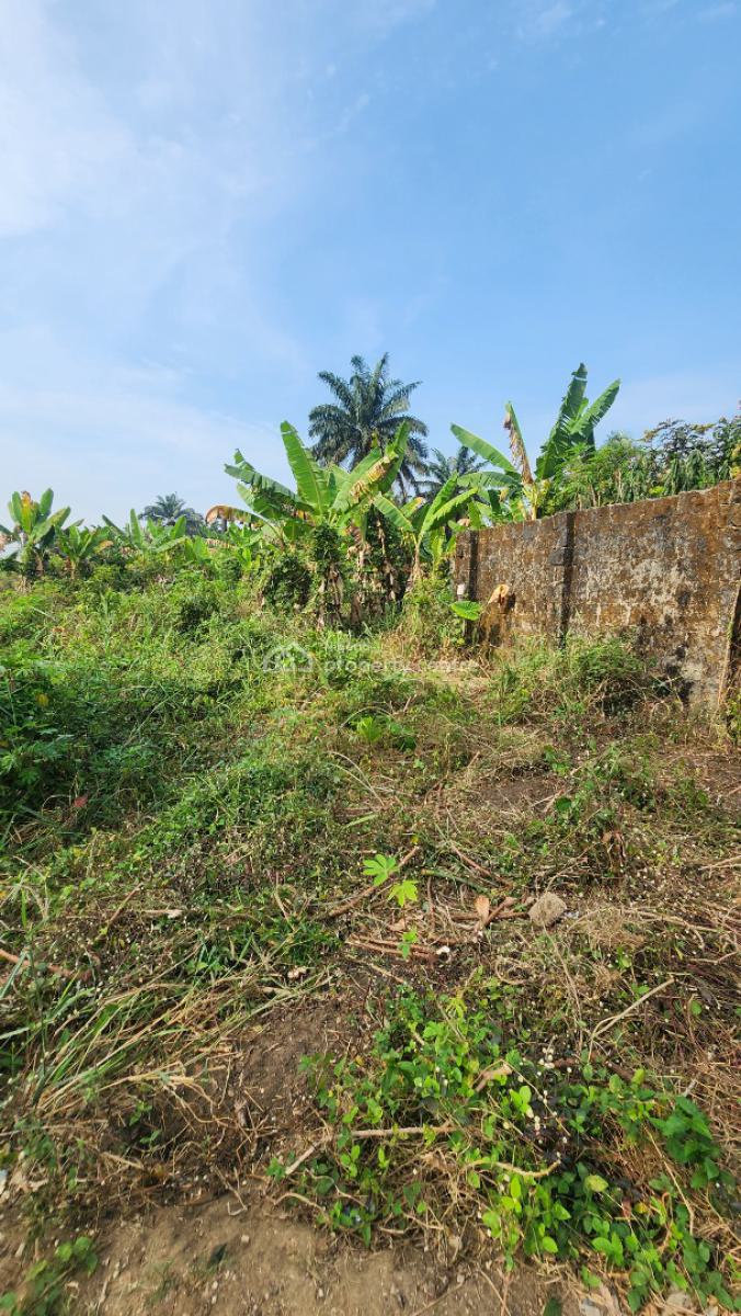 Fantastic Plot of Dry Land, Shelter Afrique Estate Extension, Uyo, Akwa Ibom, Residential Land for Sale
