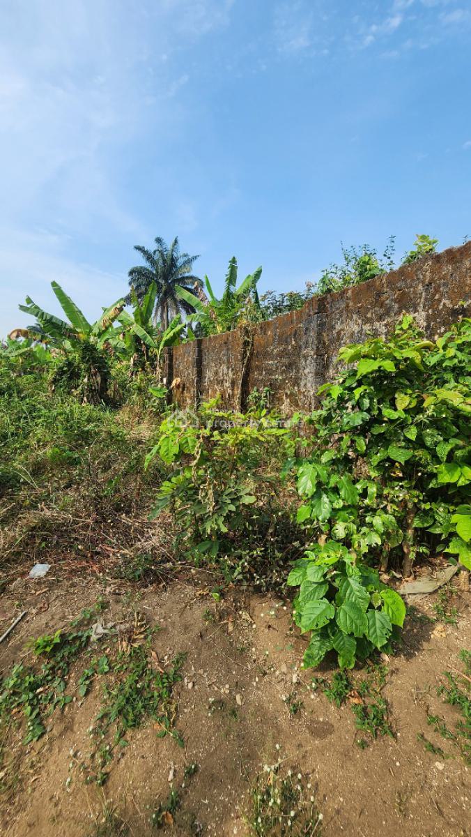 Fantastic Plot of Dry Land, Shelter Afrique Estate Extension, Uyo, Akwa Ibom, Residential Land for Sale