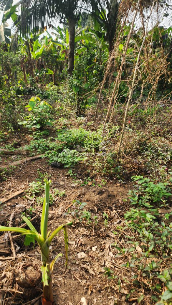 Fantastic Plot of Dry, Shelter Afrique Estate Extension, Uyo, Akwa Ibom, Residential Land for Sale