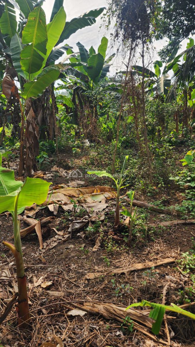 Fantastic Plot of Dry, Shelter Afrique Estate Extension, Uyo, Akwa Ibom, Residential Land for Sale