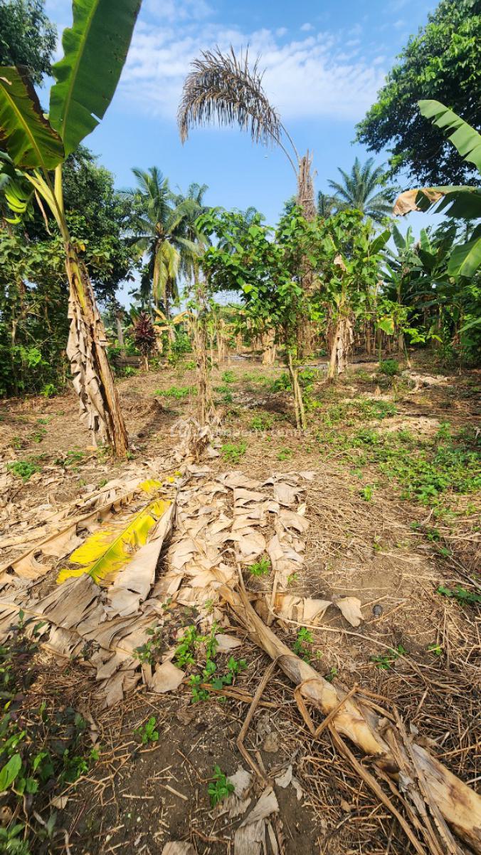 Fantastic Plot of Dry, Shelter Afrique Estate Extension, Uyo, Akwa Ibom, Residential Land for Sale