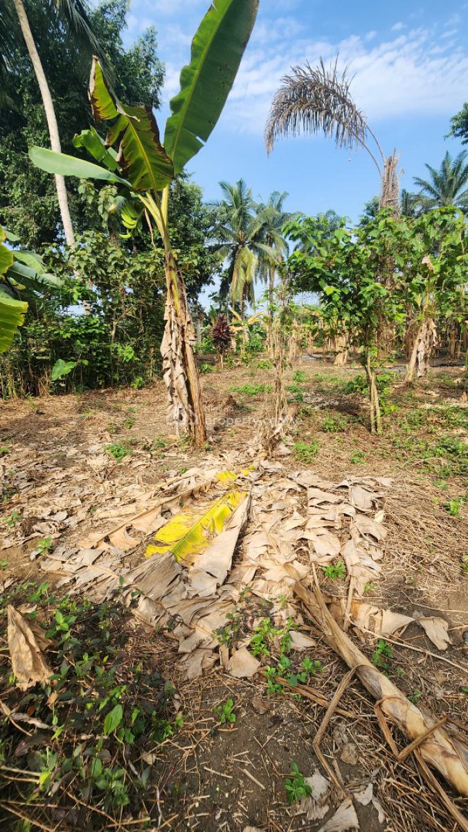 Fantastic Plot of Dry, Shelter Afrique Estate Extension, Uyo, Akwa Ibom, Residential Land for Sale