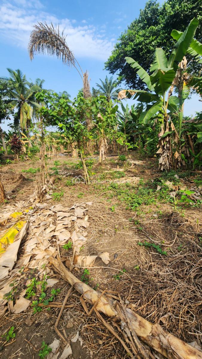 Fantastic Plot of Dry, Shelter Afrique Estate Extension, Uyo, Akwa Ibom, Residential Land for Sale