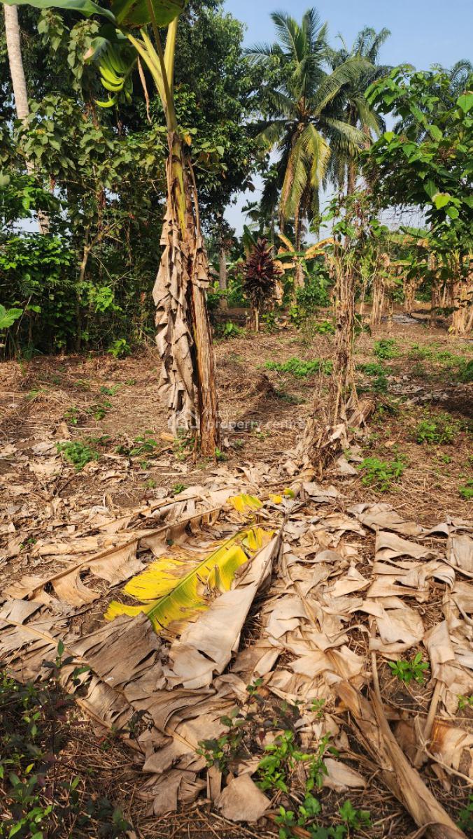 Fantastic Plot of Dry, Shelter Afrique Estate Extension, Uyo, Akwa Ibom, Residential Land for Sale