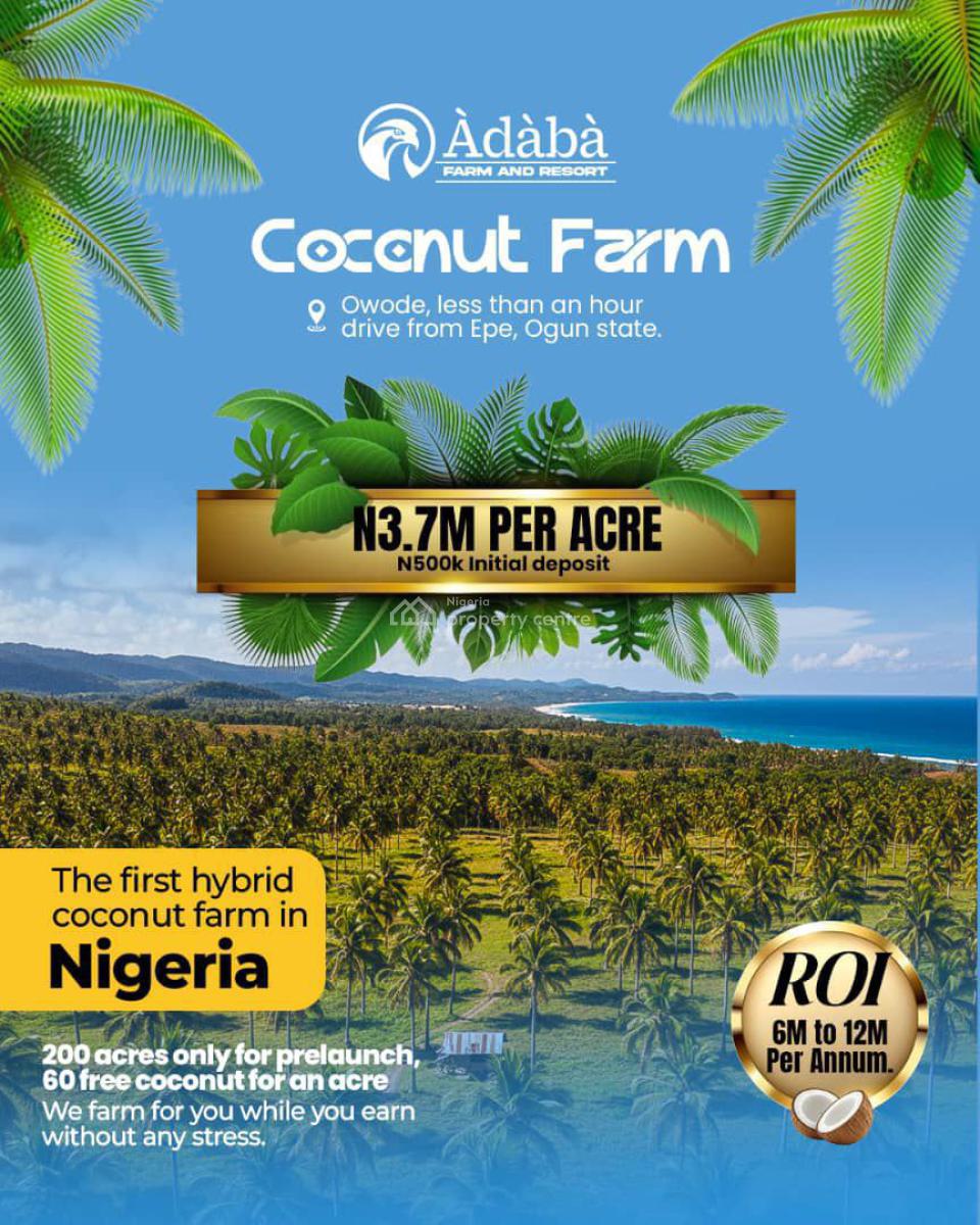 Hectares of Coconut Farm Land. 60 Coconut Trees per Acre, Obafemi Owode, Ogun, Commercial Land for Sale