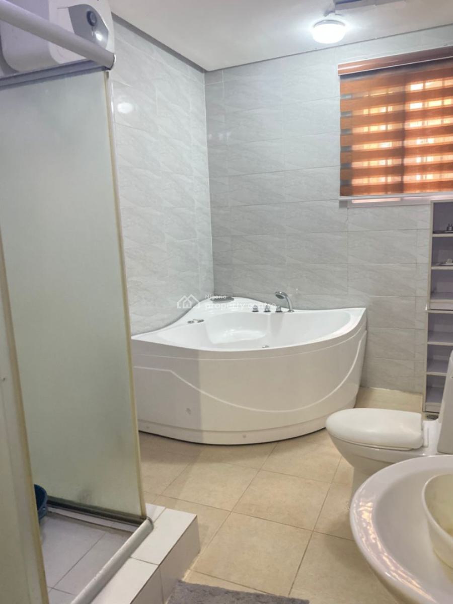 Fully Furnished 3 Bedrooms Apartment, Ikoyi, Lagos, Flat / Apartment for Rent