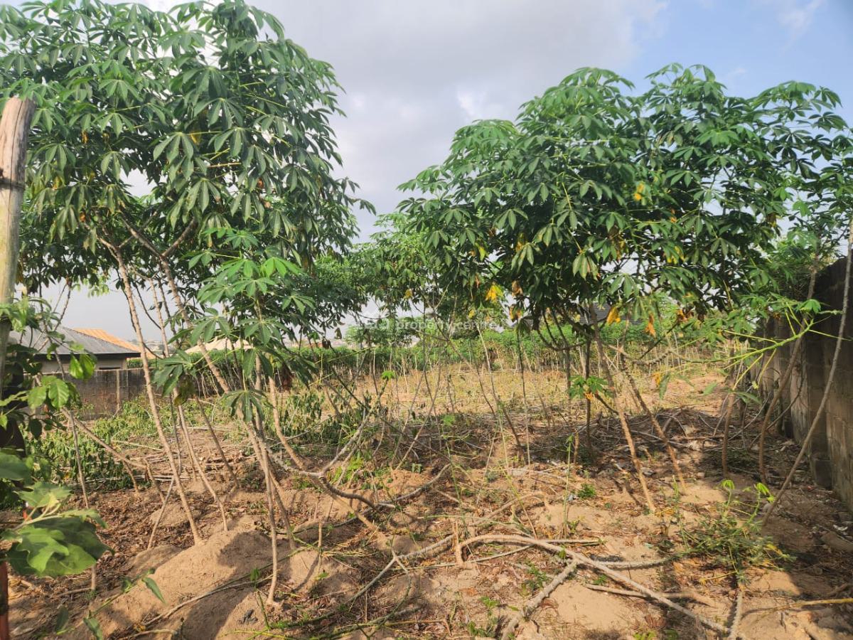 a Standard Polt of Land Ina  Good Location, Agbofieti, Idi-shin Extension, Jericho, Ibadan, Oyo, Residential Land for Sale