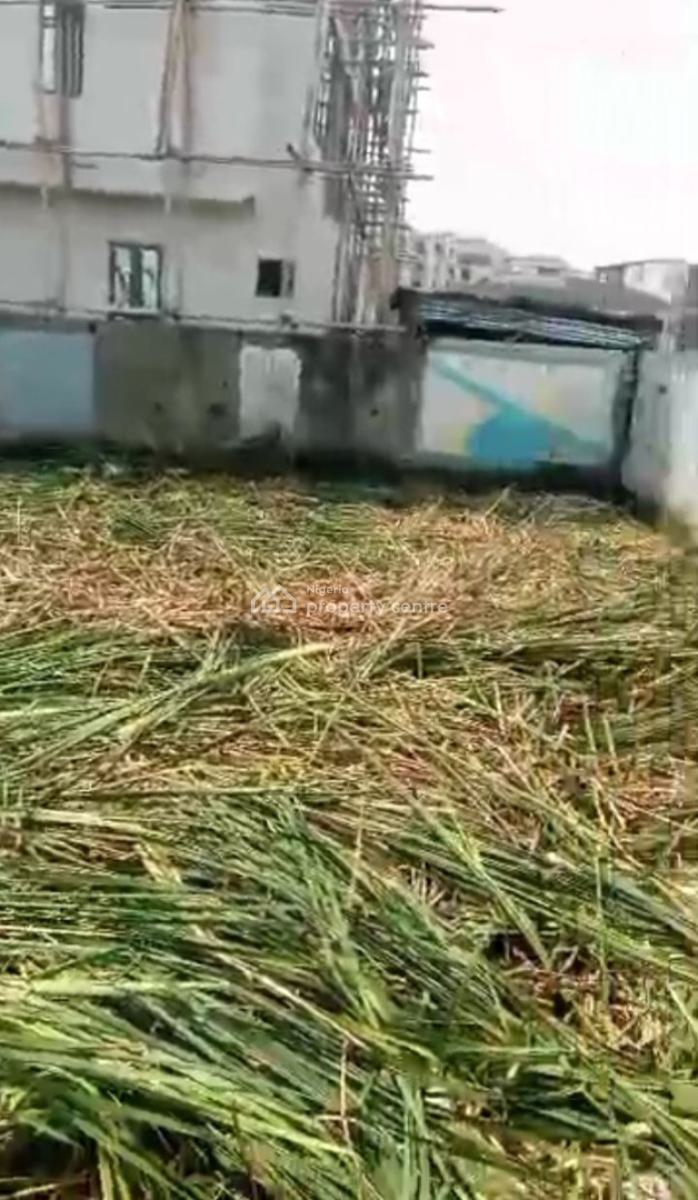 Land Measuring 1 Plot with Consent, Behind Cowrie Creek Estate Via Chisco, Ikate, Lekki, Lagos, Residential Land for Sale