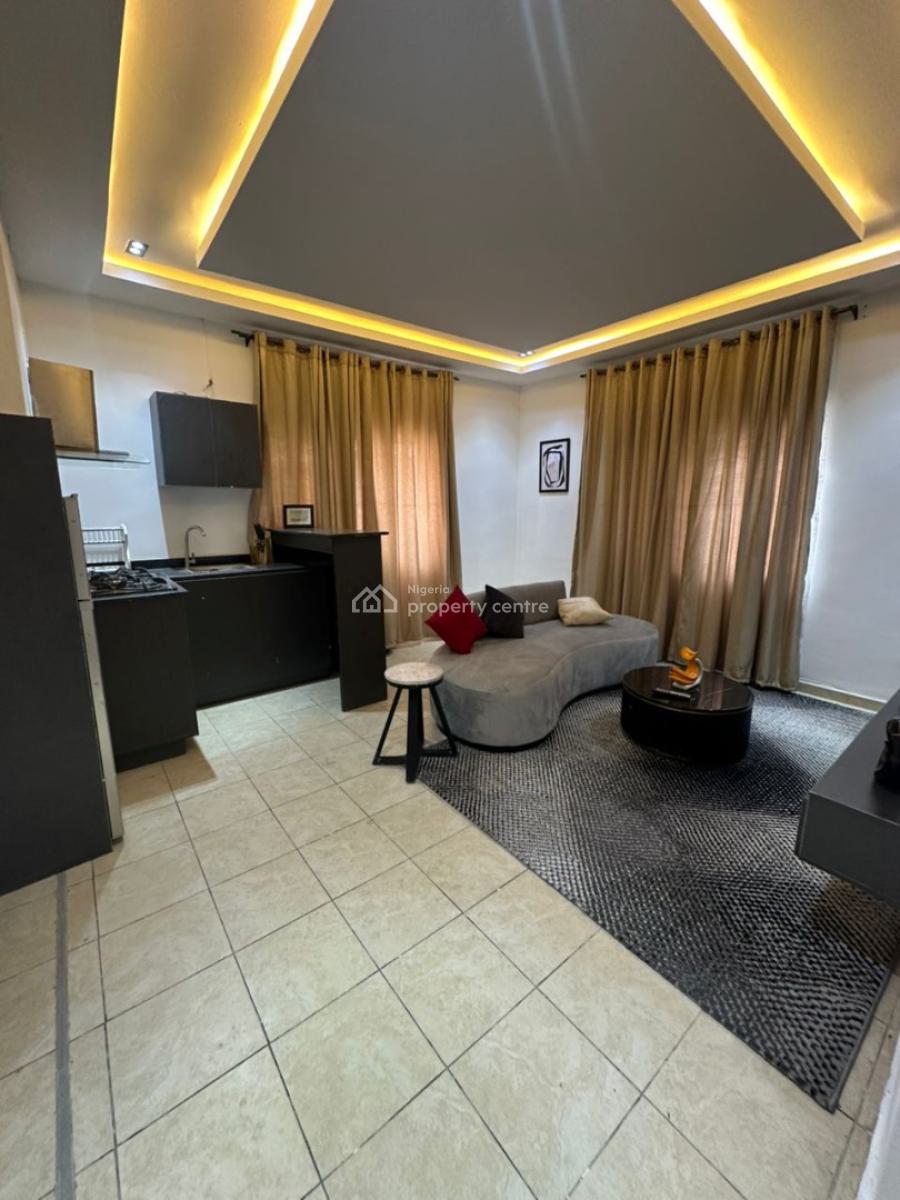 Luxury Furnished 1 Bedroom Flat, Lekki Phase 1, Lekki, Lagos, Mini Flat (room and Parlour) for Rent