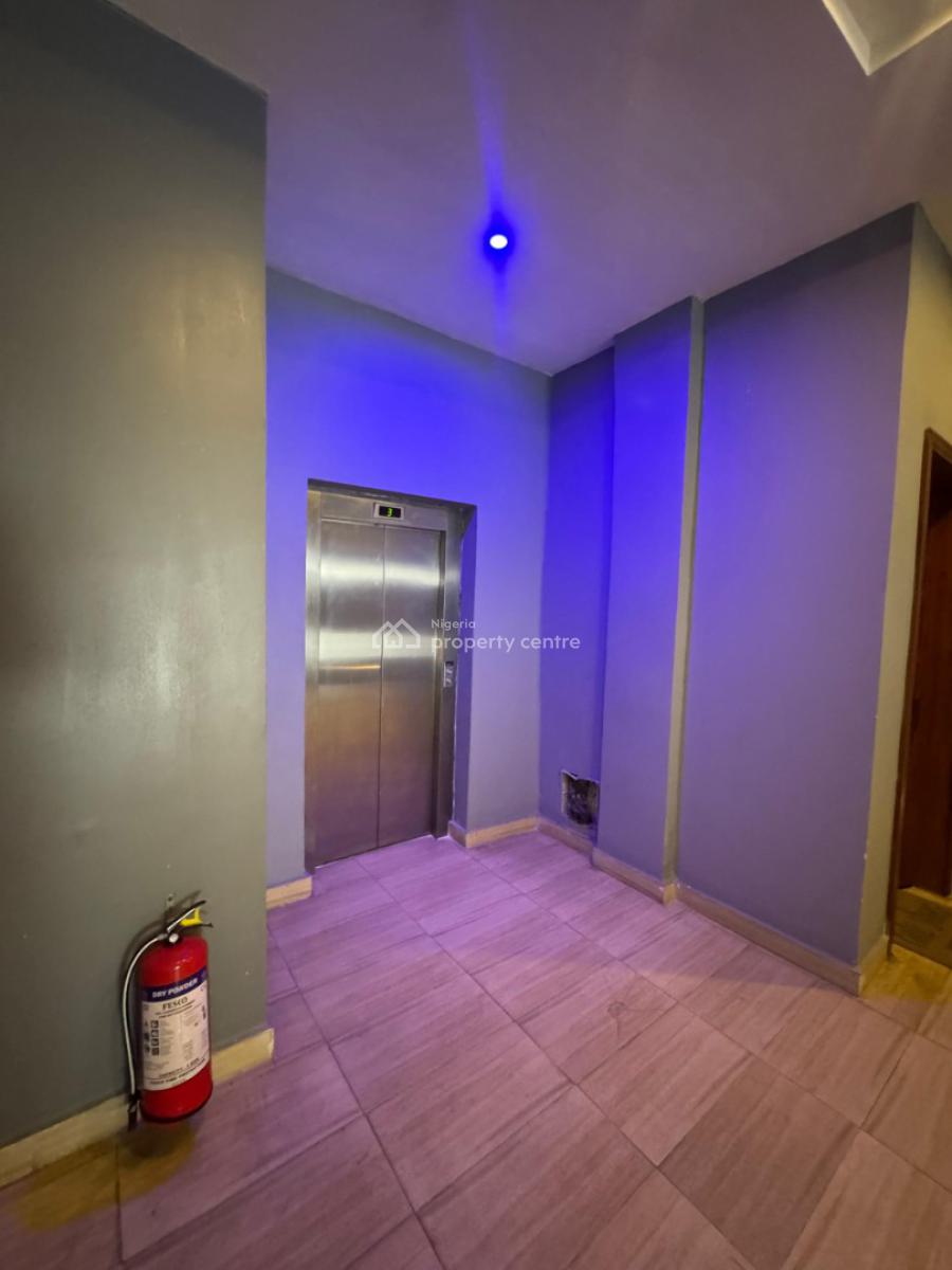 Luxury 2 Bedroom Apartment  with Excellent Facility, Ikate, Lekki, Lagos, Flat / Apartment for Rent