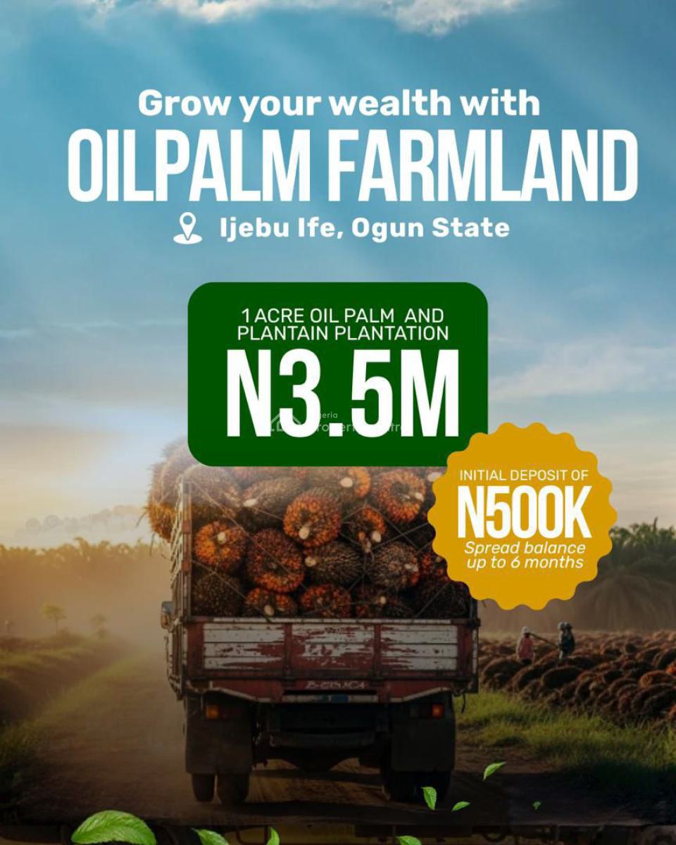 Farm Land Investment, Ijebu Ife, Ado-odo/ota, Ogun, Residential Land for Sale