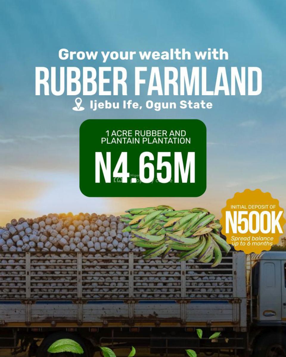 Farm Land Investment, Ijebu Ife, Ado-odo/ota, Ogun, Residential Land for Sale