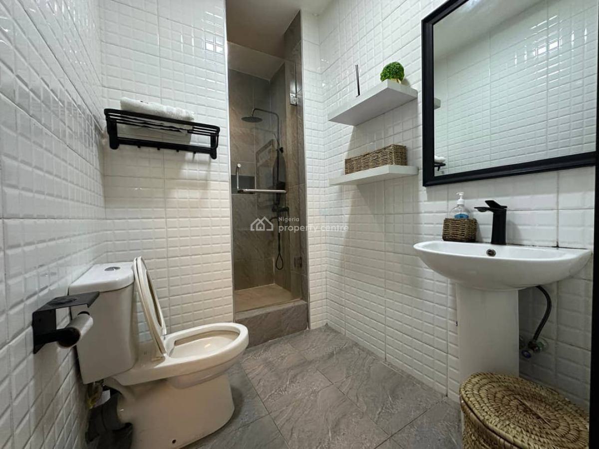 Exquisitely Beautiful 2 Bedroom Fully Furnished Apartment, Ikate, Ikate, Lekki, Lagos, Flat / Apartment for Rent