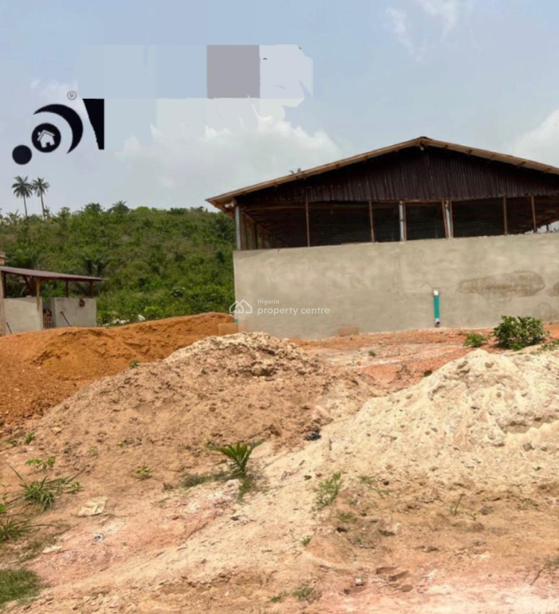 Acres & Hectares of Cocoa Plantation Along Oou Road, Ago-iwoye, Oou Road, Ago-iwoye, Ake, Ijebu North, Ogun, Land for Sale