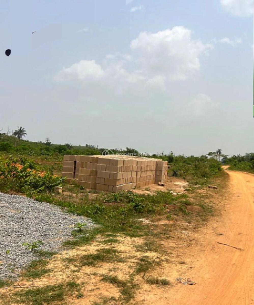Acres & Hectares of Cocoa Plantation Along Oou Road, Ago-iwoye, Oou Road, Ago-iwoye, Ake, Ijebu North, Ogun, Land for Sale