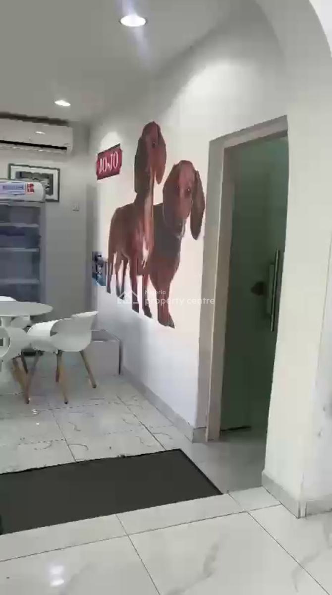 Fully Detached 4 Bedroom Duplex, Victoria Island (vi), Lagos, Detached Duplex for Rent