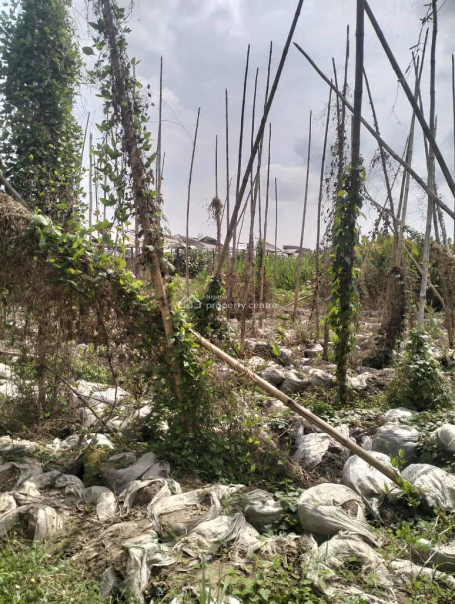 Land on 8079sqmt at White Sand Kudebu Estate Ijegun Ikotun, Off Irekare Street Kudebu Estate Ijegun Ikotun Lagos, Ikotun, Lagos, Mixed-use Land for Sale