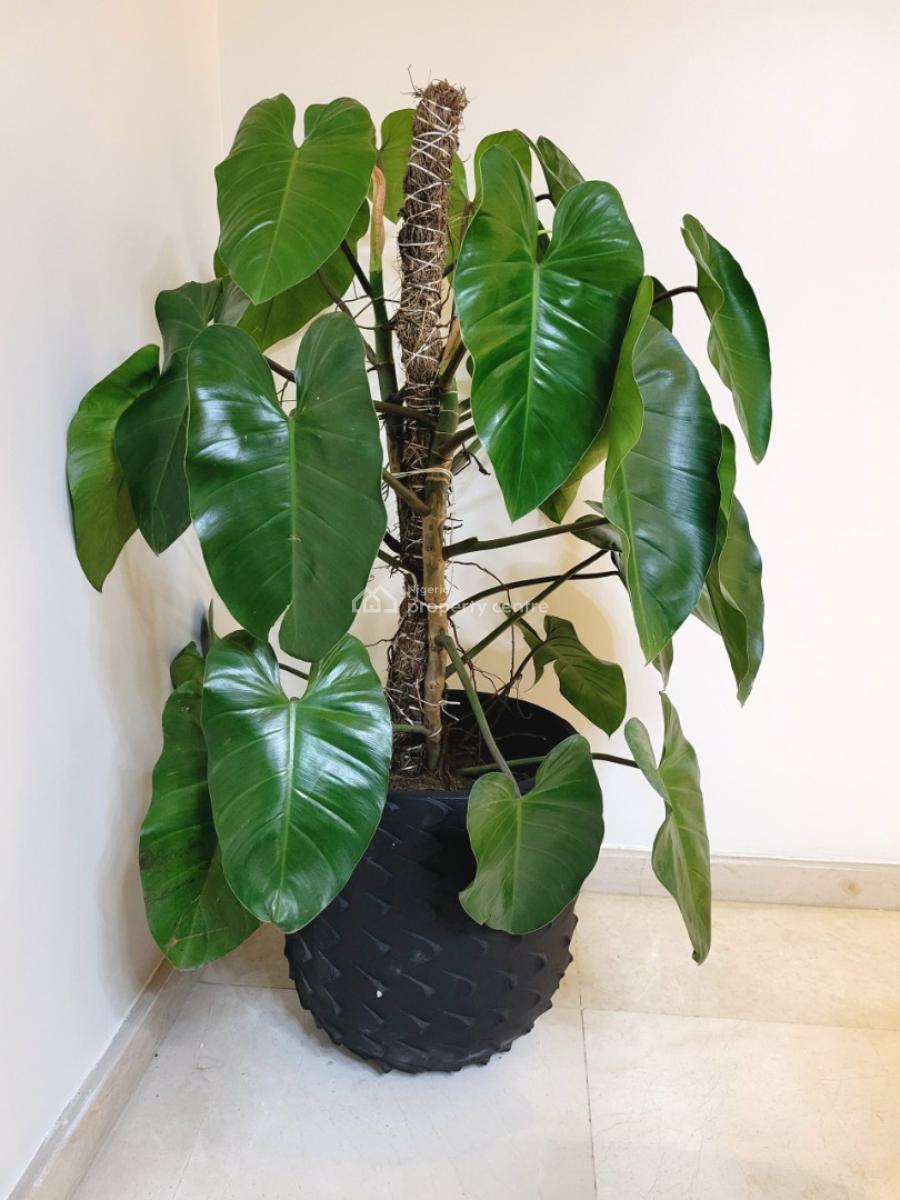 Stunning 2 Bedrooms Apartment with Swimming, Gym and Restaurant, Eko Atlantic City, Lagos, Flat / Apartment Short Let