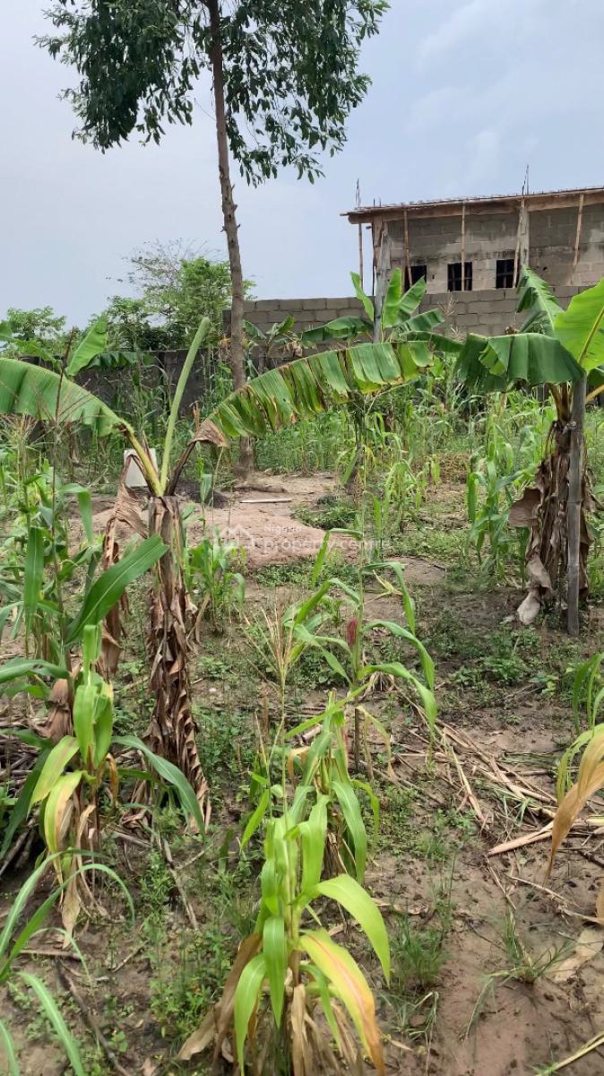 Very Dry Land Available for Purchase, New Road Bustop, Badore, Ajah, Lagos, Mixed-use Land for Sale