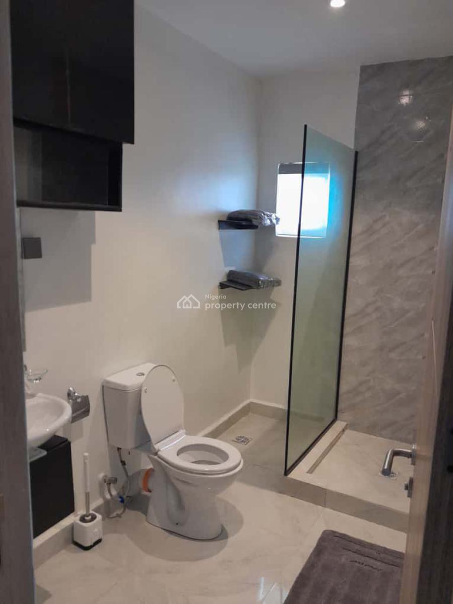 Spacious Fully Furnished 2-bedroom Apartment with Bq, Ikate, Lekki, Lagos, Flat / Apartment for Rent