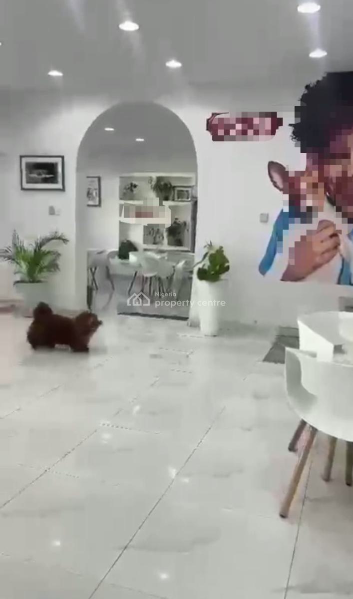 Fully Detached 4 Bedroom Duplex with 3 Rooms Bq, Victoria Island (vi), Lagos, Detached Duplex for Rent