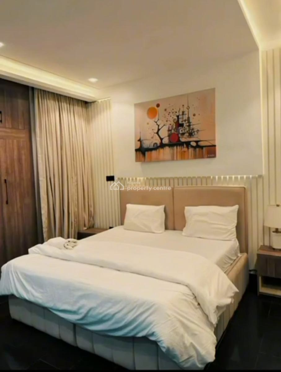 Luxury 2-bedroom Fully Furnished Apartment, Garki, Abuja, Flat / Apartment for Rent