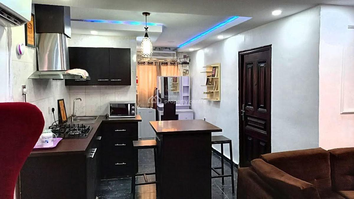 Nicely Furnished and Serviced 1 Bedroom Apartment, Ogunlana Drive, Surulere, Surulere, Lagos, Mini Flat (room and Parlour) Short Let