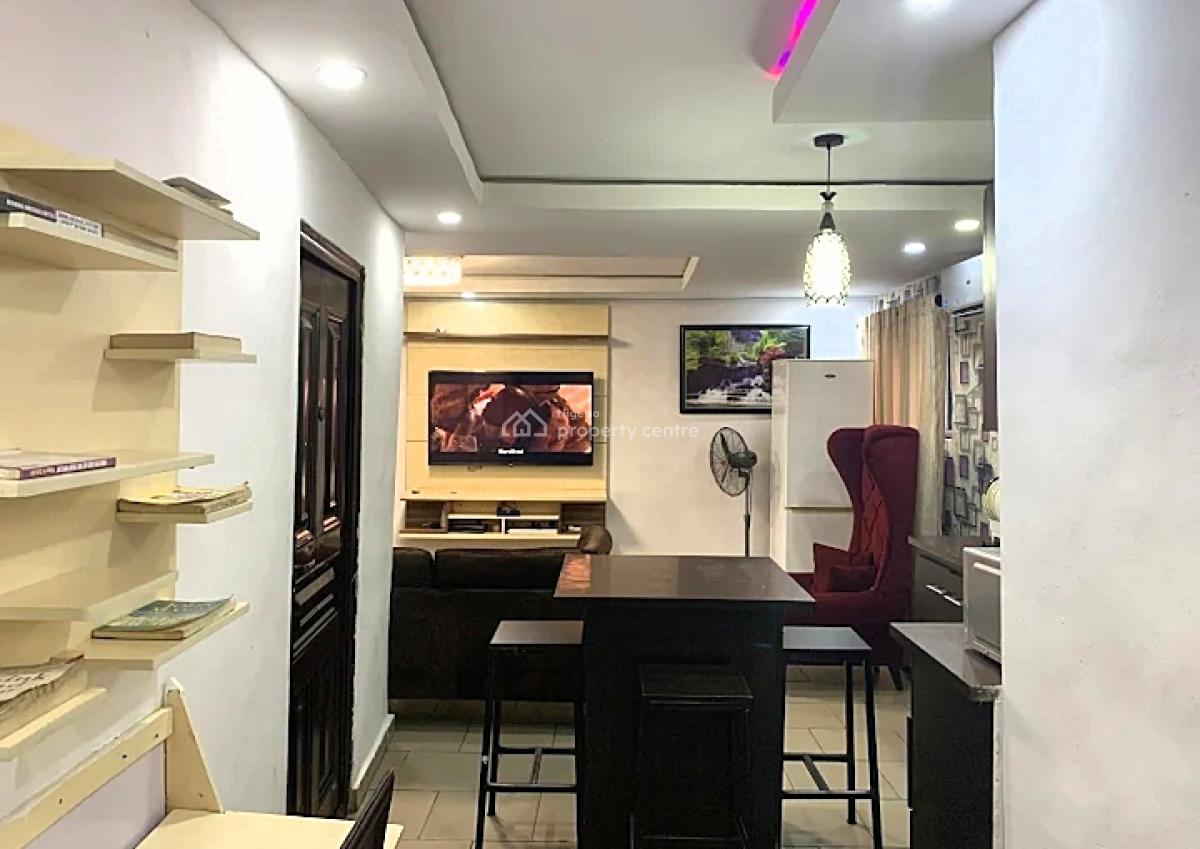 Nicely Furnished and Serviced 1 Bedroom Apartment, Ogunlana Drive, Surulere, Lagos, Mini Flat (room and Parlour) Short Let