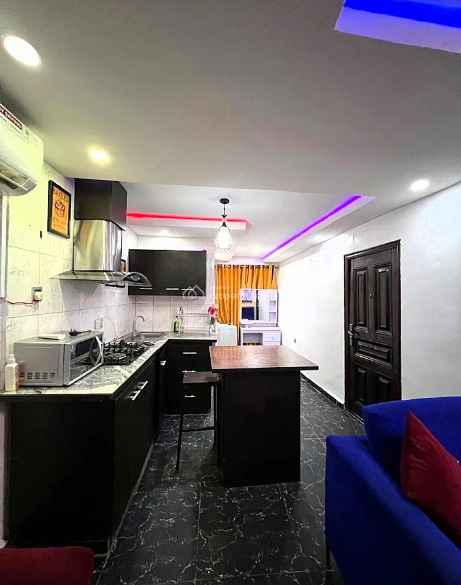 Nicely Furnished and Serviced 1 Bedroom Apartment, Ogunlana Drive, Surulere, Lagos, Mini Flat (room and Parlour) Short Let