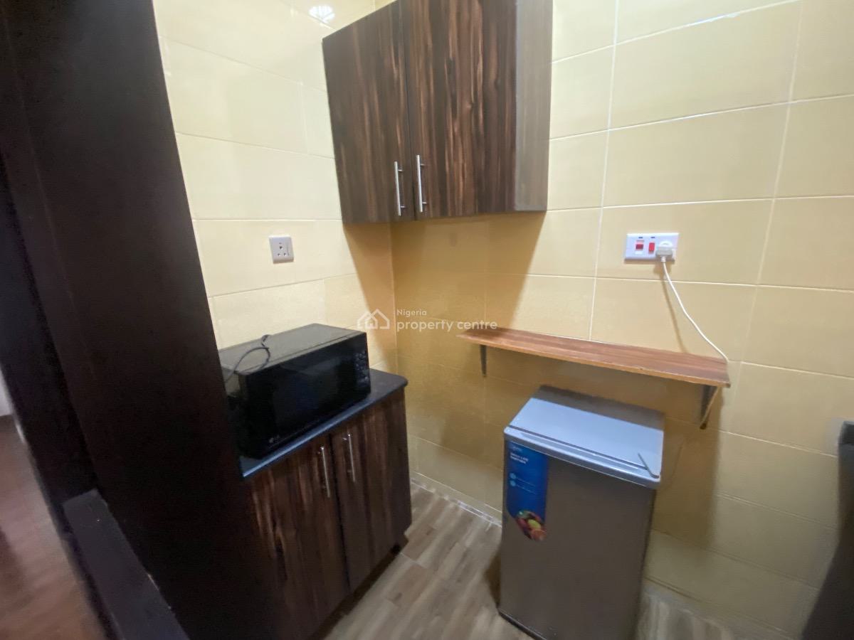 Tastefully Furnished One Bedroom Apartment, Ikeja Gra, Ikeja, Lagos, Mini Flat (room and Parlour) for Rent