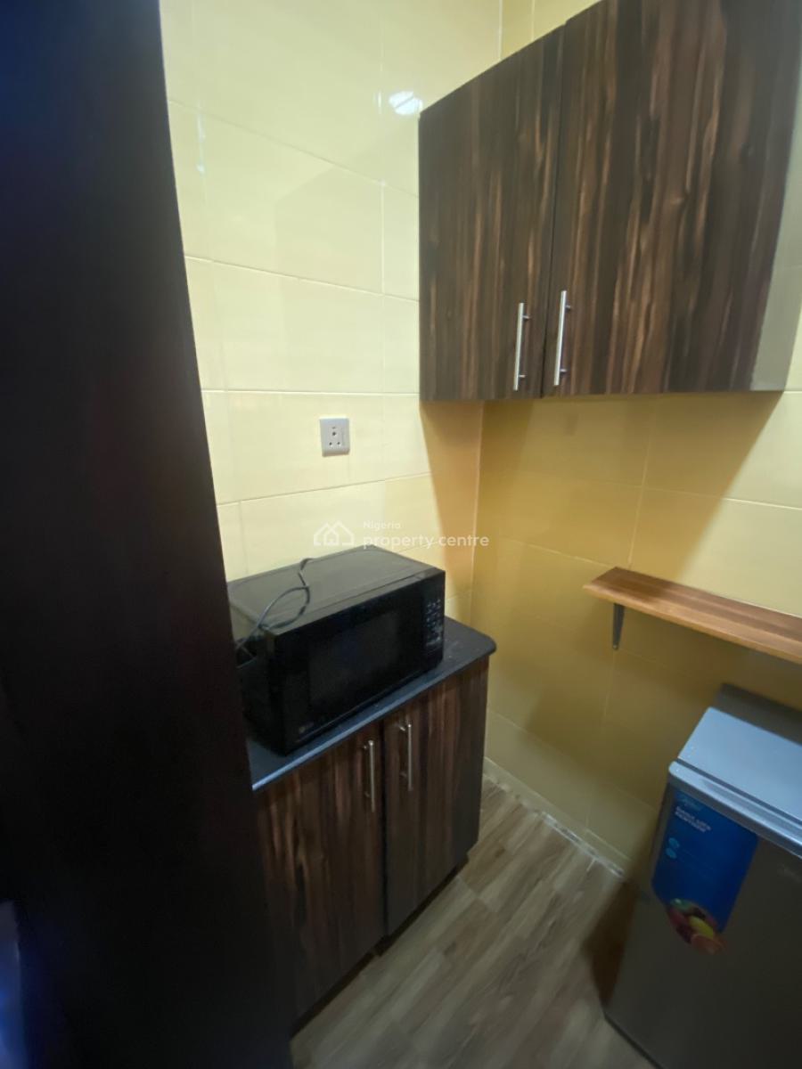 Tastefully Furnished One Bedroom Apartment, Ikeja Gra, Ikeja, Lagos, Mini Flat (room and Parlour) for Rent