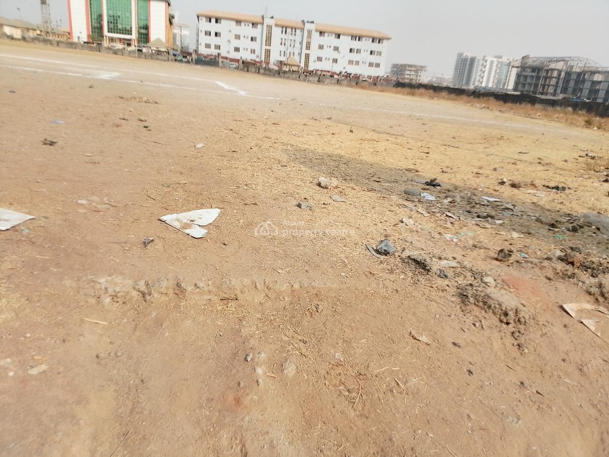 1 Hectare Commercial Land Not Specified, Jabi, Abuja, Commercial Land for Sale